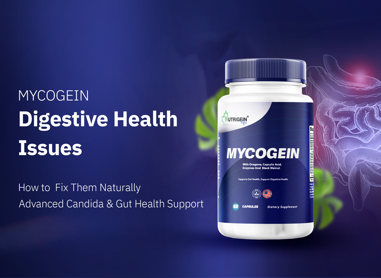 MYCOGEIN 60 Capsules